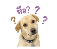 858303239