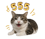 858303322