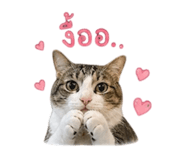 858303327