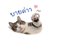858303336
