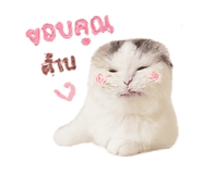 858303789