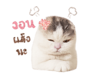 858303791