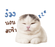 858303795