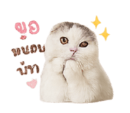 858303796