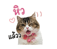 858304010