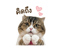 858304013