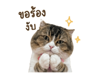 858304016