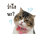 858304017