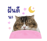 858304022