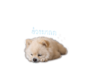 858304119