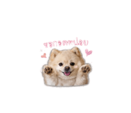858304120