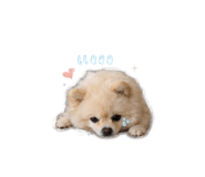 858304121
