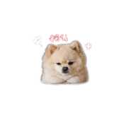 858304126