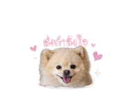 858304128