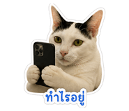 858304437