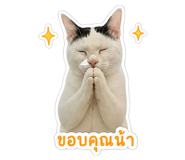 858304439