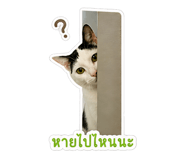 858304440