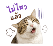 858304826