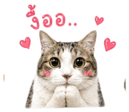 858304835