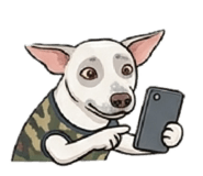 858304983