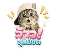 858304992