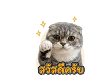 858305066