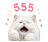 858306244