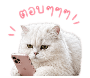 858306246