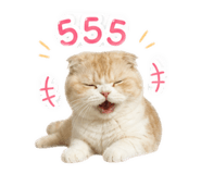 858306358