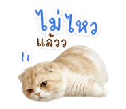 858306362