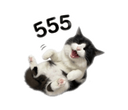 858306527
