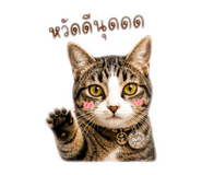 858307417