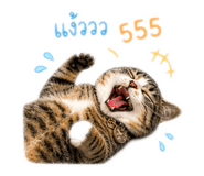 858307422