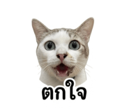 858307513