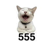 858307514