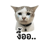 858307515