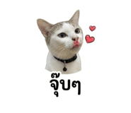 858307520