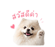 858307777