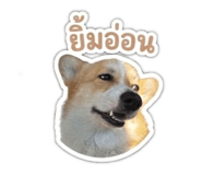 858308227
