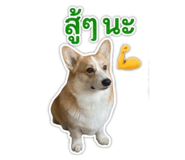 858309138