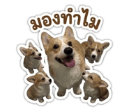 858309141