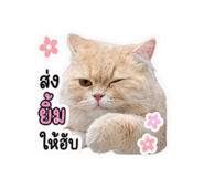 858309313