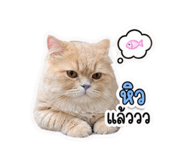 858309315
