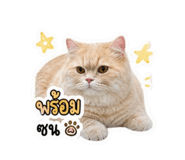 858309316