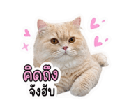 858309319