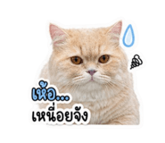858309321