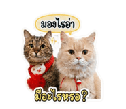 858309334
