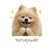 858309754