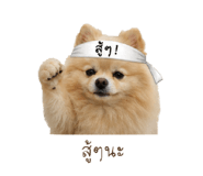 858309755
