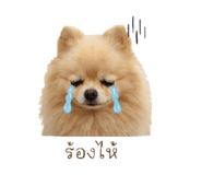 858309762